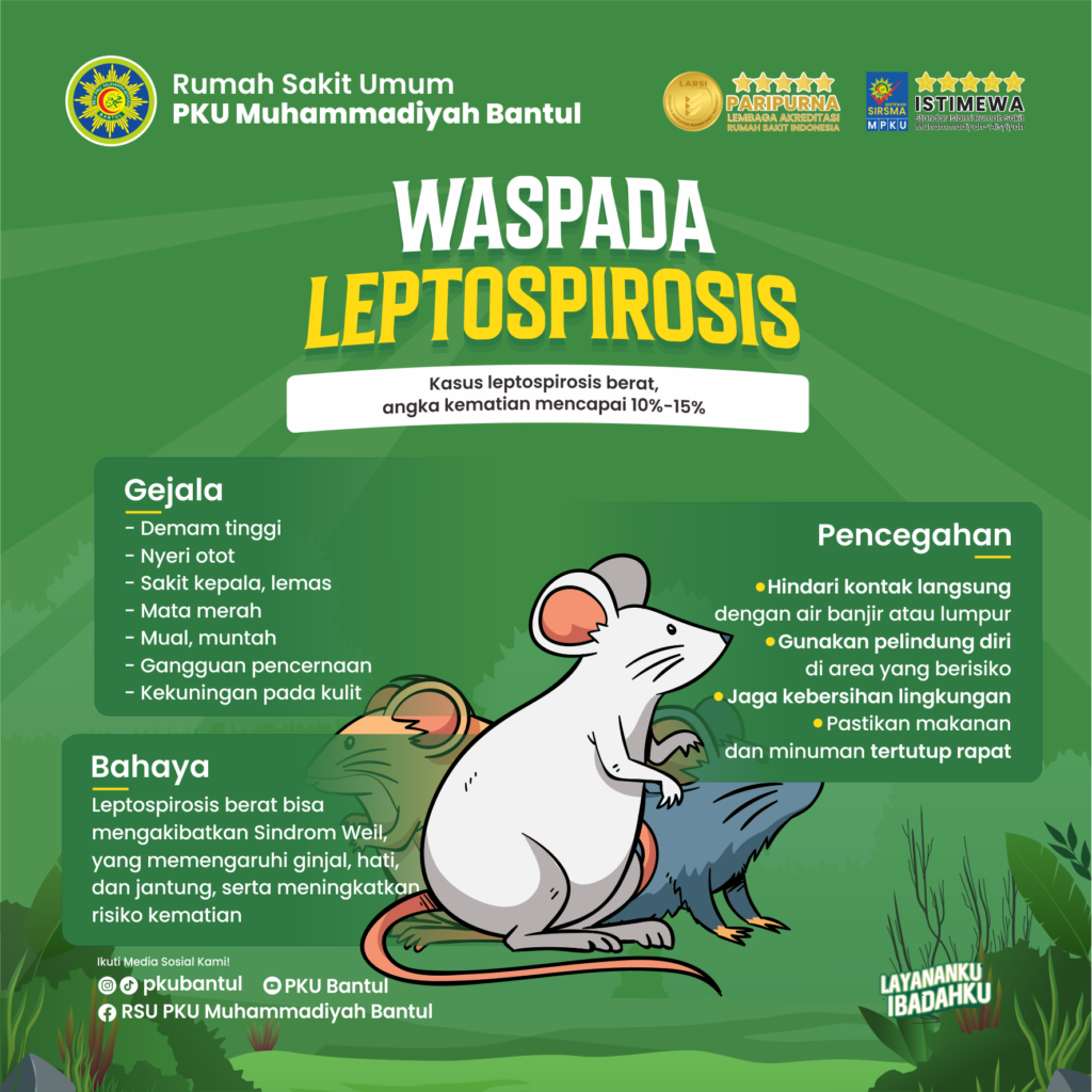 Kasus leptospirosis meningkat! Pentingnya untuk menjaga kebersihan lingkungan